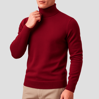 Trui met turtleneck en ribbelafwerking in regular fit voor heren, ideaal voor casual dagelijks gebruik in herfst en winter-3